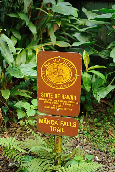 File:Manoa Falls Trail (8330303739).jpg