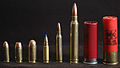 Lineup of common calibers