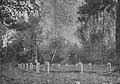 Mass grave of January Uprising Insurgents 1863 near Zaborów Leśny (1932).jpg