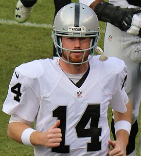 Matt McGloin American football quarterback