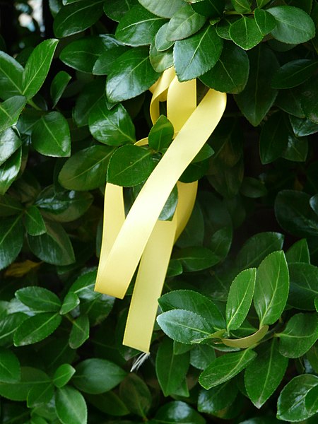 File:Memorial for the victims of the sinking of the MV Sewol 10.JPG