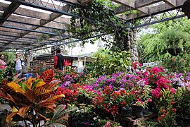 Market, El Valle de Antón.