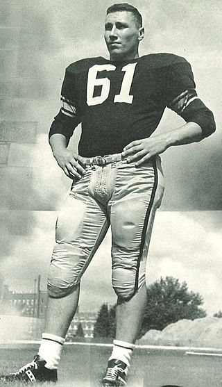 <span class="mw-page-title-main">Mike Reilly (1960s linebacker)</span> American football player (1942–2019)