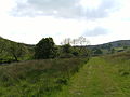 Looking into the valley from the path following the brook.