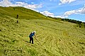 English: Haymaking on the Mussen alp Deutsch: Heuernte auf der Mussen