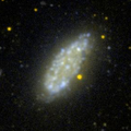 NGC 2976 en ultraviolet par le télescope spatial GALEX.