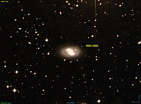 NGC 2983 DSS.jpg
