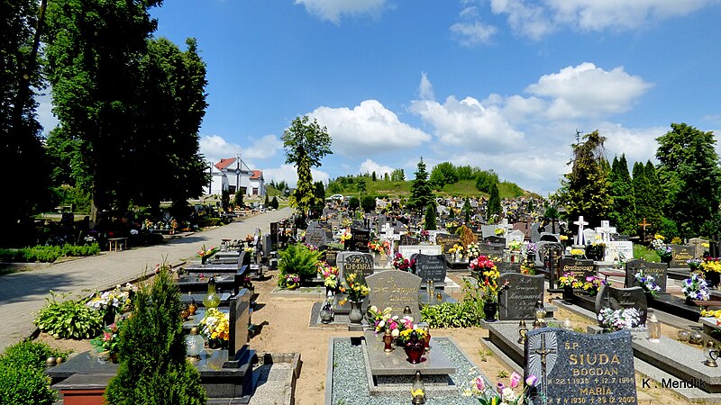 File:Nakło nad Notecią , widok z cmentarza - panoramio (3).jpg