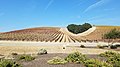 Looking up at the giant heart in Niner Wine Estates in Paso Robles, California