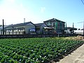 西海鹿島駅