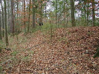 <span class="mw-page-title-main">Northwest Boundary Dike</span> United States historic place