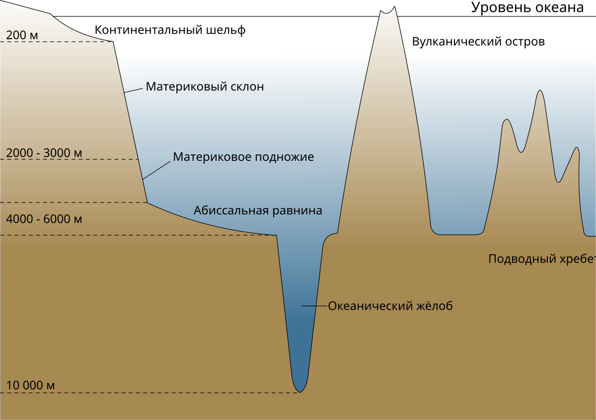 Шельф материковый склон ложе океана. Зоны рельефа дна мирового океана. Рельеф дна мирового океана схема. Шельф и материковый склон. Шельф материковый склон ложе океана глубоководный желоб.