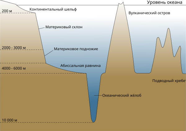 Формы рельефа дна. Рельеф дна мирового океана схема. Рельеф дна мирового океана 7 класс география. Строение дна океана схема. Схема строения океанического дна.