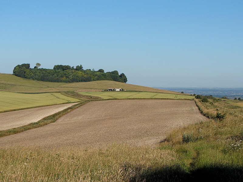 File:On the Ridgeway near Cherhill Down - geograph.org.uk - 5042621.jpg