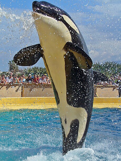 Loro Parque