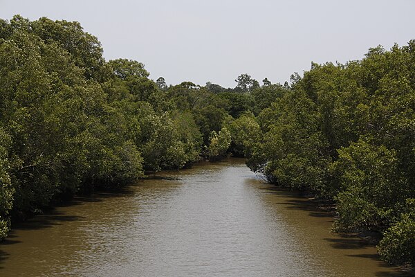 Oxley Creek seen from Sherwood Road