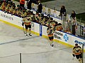 Thumbnail for List of Adirondack Phantoms players