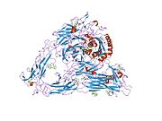 PDB 1l5g EBI.jpg