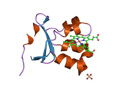 Sulfite oxidase