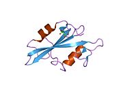 PDB 1o4m EBI.jpg