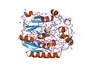 PDB 9jdw EBI.jpg