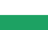 POL Jaworzno flag.svg