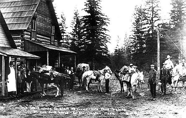 A group of packhorses pictured outside a general store in Darrington, c. 1905