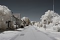 Français : Route de Franxault, Pagny-le-Château (Côte d'Or, Bourgogne, France) photographié avec un filtre infrarouge 720 nm. Català: Carretera de Franxault, Pagny-le-Château (Costa d'Or, Borgonya, França) fotografiat amb un filtre infraroig 720 nm. Español: Carretera de Franxault, Pagny-le-Château (Côte d'Or, Borgoña, Francia) fotografiado con un filtro infrarrojo 720 nm.