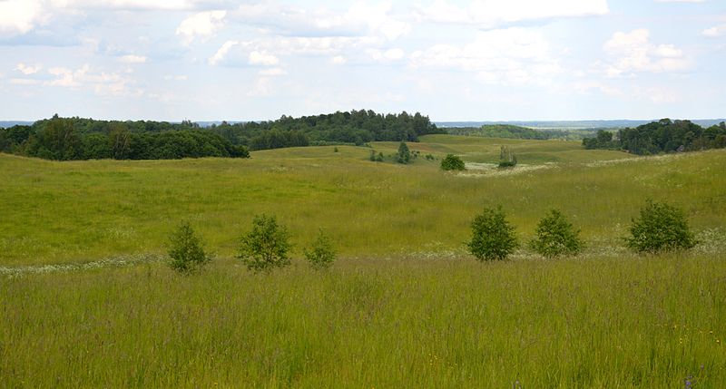 File:Pakalniu geomorfologinis draustinis.jpg