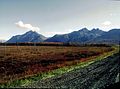 Palmer Hay Flats. The "Ghost Forest" is from the subsidence that occurred in the area as a result of the earthquake.