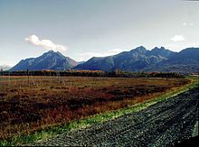 The view traveling toward Anchorage from Palmer. Pioneer Peak is to the left with Twin Peaks to the right of Pioneer.   The Ghost Forest of the Palmer Hay Flats State Game Refuge is shown in the foreground. These trees died from the subsidence that occurred in the area as a result of the Great Alaska earthquake of 1964.