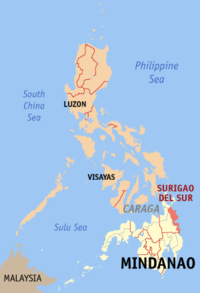 मानचित्र जिसमें सुरिगाओ देल सूर Surigao del Sur हाइलाइटेड है
