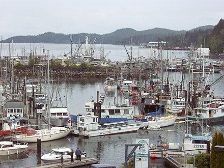 Harbour of Port Hardy