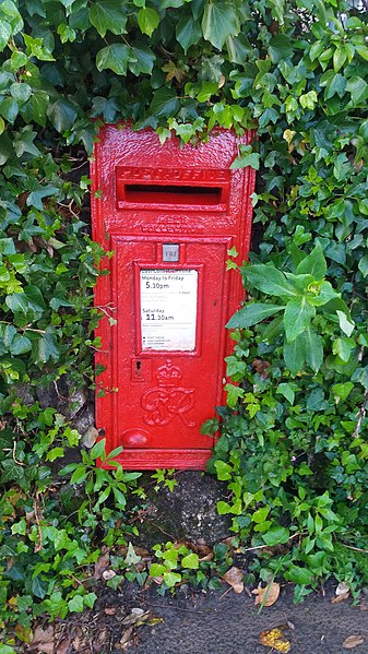 File:Post box and ivy.jpg