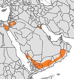亞拉伯狼分佈圖