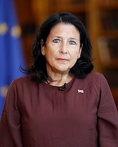 Salome Zurabishvili: Biografía, Carreira, Posicións políticas