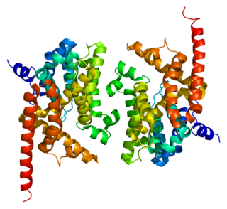 High affinity cGMP-specific 3',5'-cyclic phosphodiesterase 9A is an enzyme that in humans is encoded by the PDE9A gene.