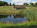 Biotop und Ruine