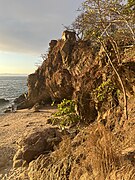 Playa Amapas, Puerto Vallarta