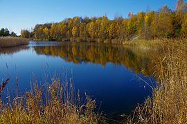 Pumba järv