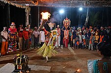 Pursa Kattuna Performance