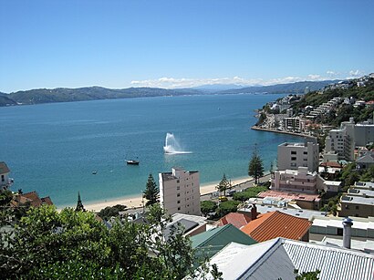 How to get to Oriental Bay with public transport- About the place