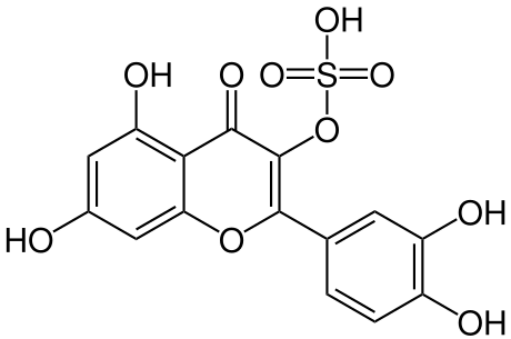 File:Quercetin 3 sulfate.svg