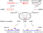 صورة SVG جديدة