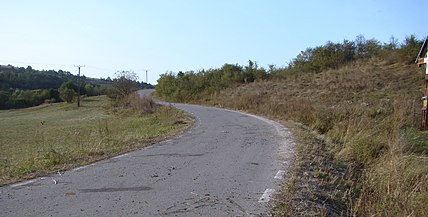 Drumul Turea-Cornești