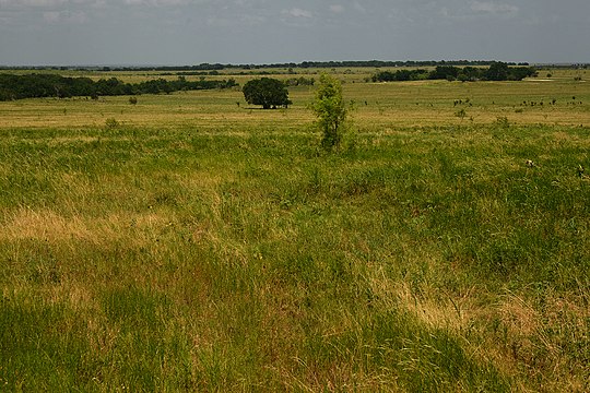 Ranch and pastureland seen from Highway 339, Limestone County Texas, USA USA (26 June 2021)