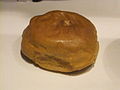 Replica bread roll, Walker Art Gallery.jpg