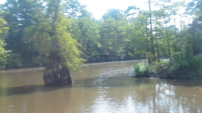 File:Revised photo of Dorcheat Bayou in Webster Parish, LA MVI 2548.jpg