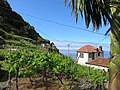 Ribeira Funda, Seixal, Madeira - 2016-05-22 - IMG 2473.jpg
