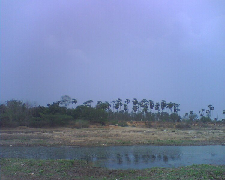 File:River Gosthani near Sanghivalasa 01.JPG